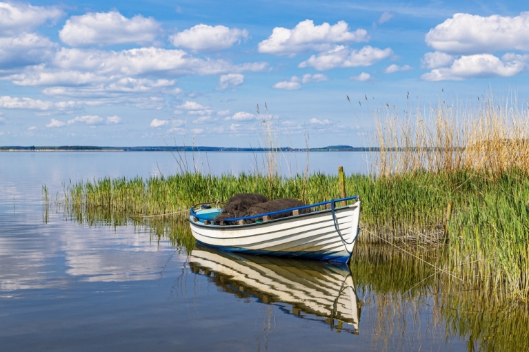 Barco junto a una pradera en la isla de Usedom, Alemania