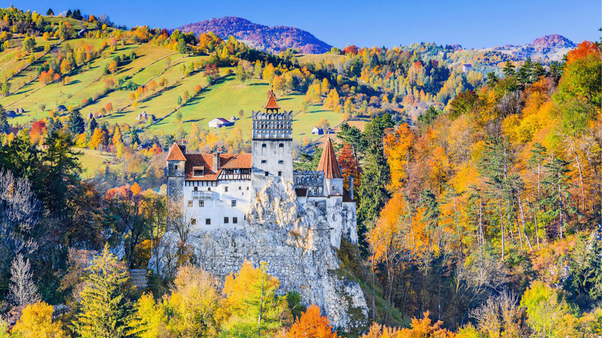 Bran Castle in Romania, surrounded by autumn leaves