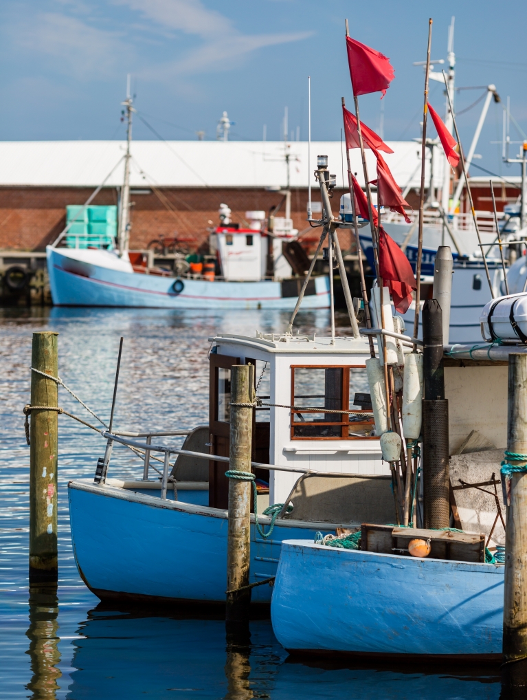 O porto em Gilleleje (Dinamarca) 