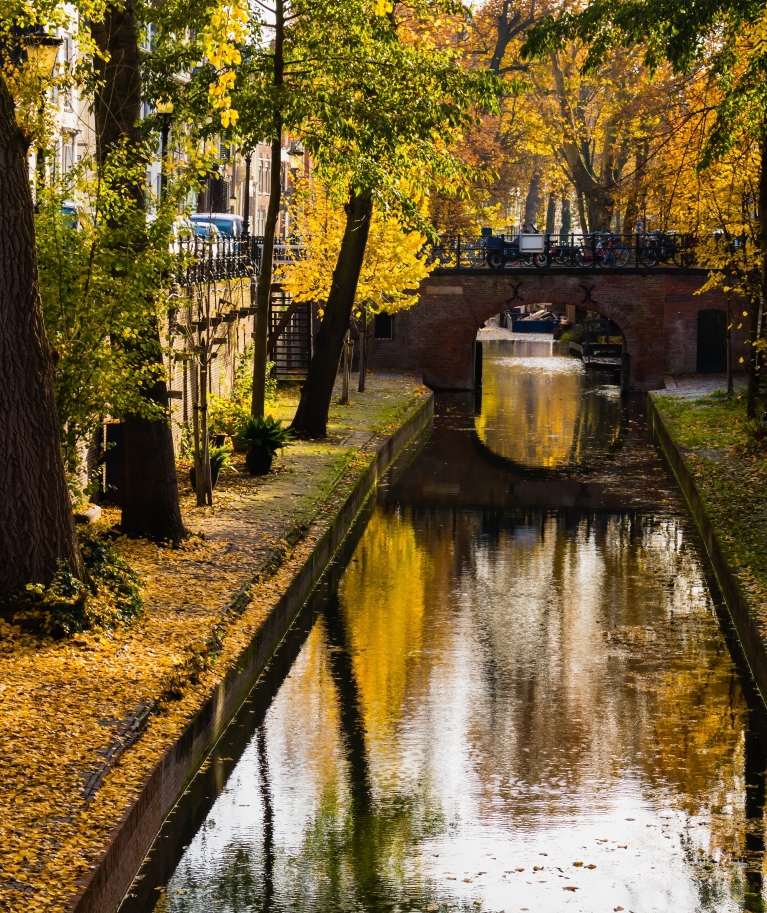 Folhas de outono se refletem em um canal de Utrecht