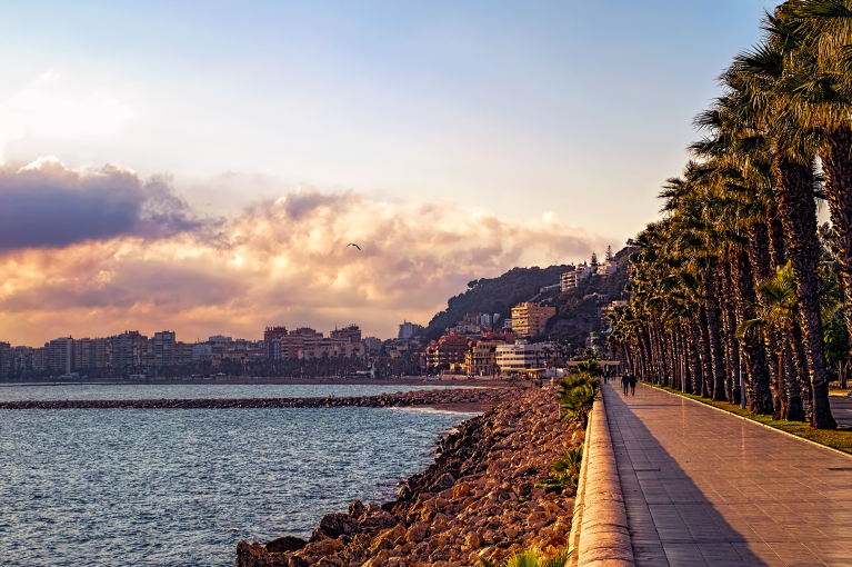 A walking path alongside the ocean with palm trees