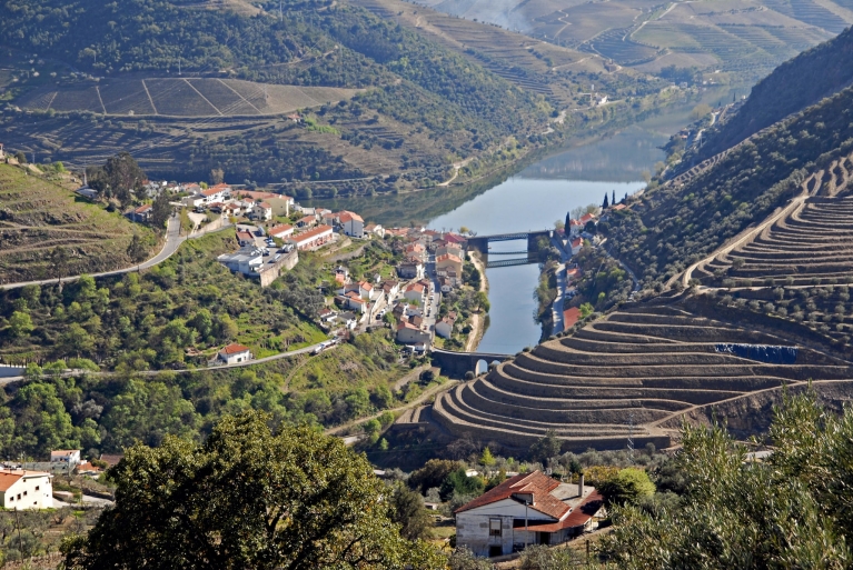ポルトガル、ピニョンのブドウ畑の風景