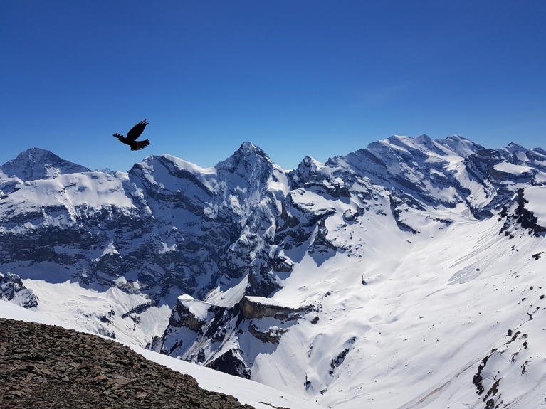 UGC-switzerland-schilthorn-mountain-alps